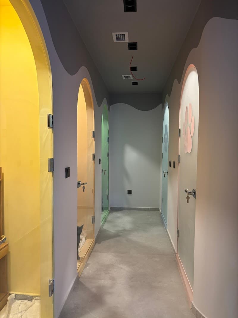 Patifornia Pet Otel ve Pet Kuaför — Başakşehir