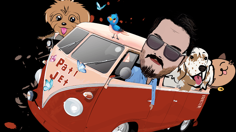 PatiJET Pet Transfer Nakil Pet Taksi Pet Kuaför Pet Groming — Beykoz