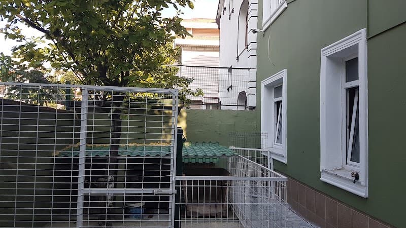 Patipet Home — Büyükçekmece