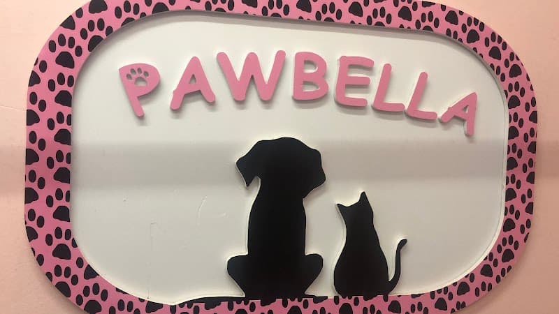 Pawbella Pet Kuaför — Beşiktaş
