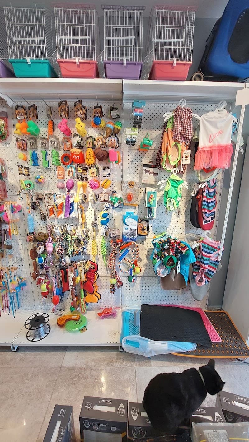 Pet Base Pet Shop & Pet Kuaför (Ayazağa&Maslak&Vadi İstanbul) — Kağıthane