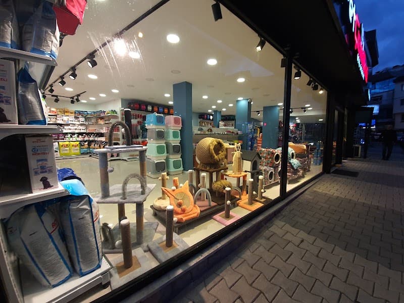 Pet ÇizmeliKedi Petstore & Pet Kuaför — Çekmeköy