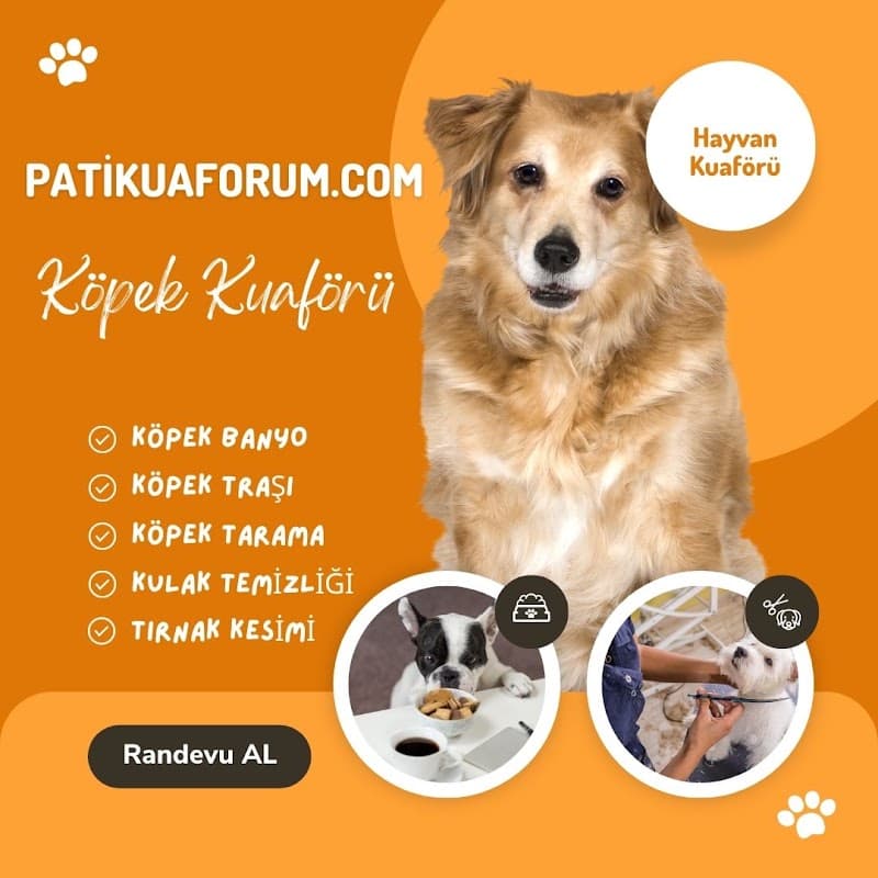 Pet Kuaför — Küçükçekmece