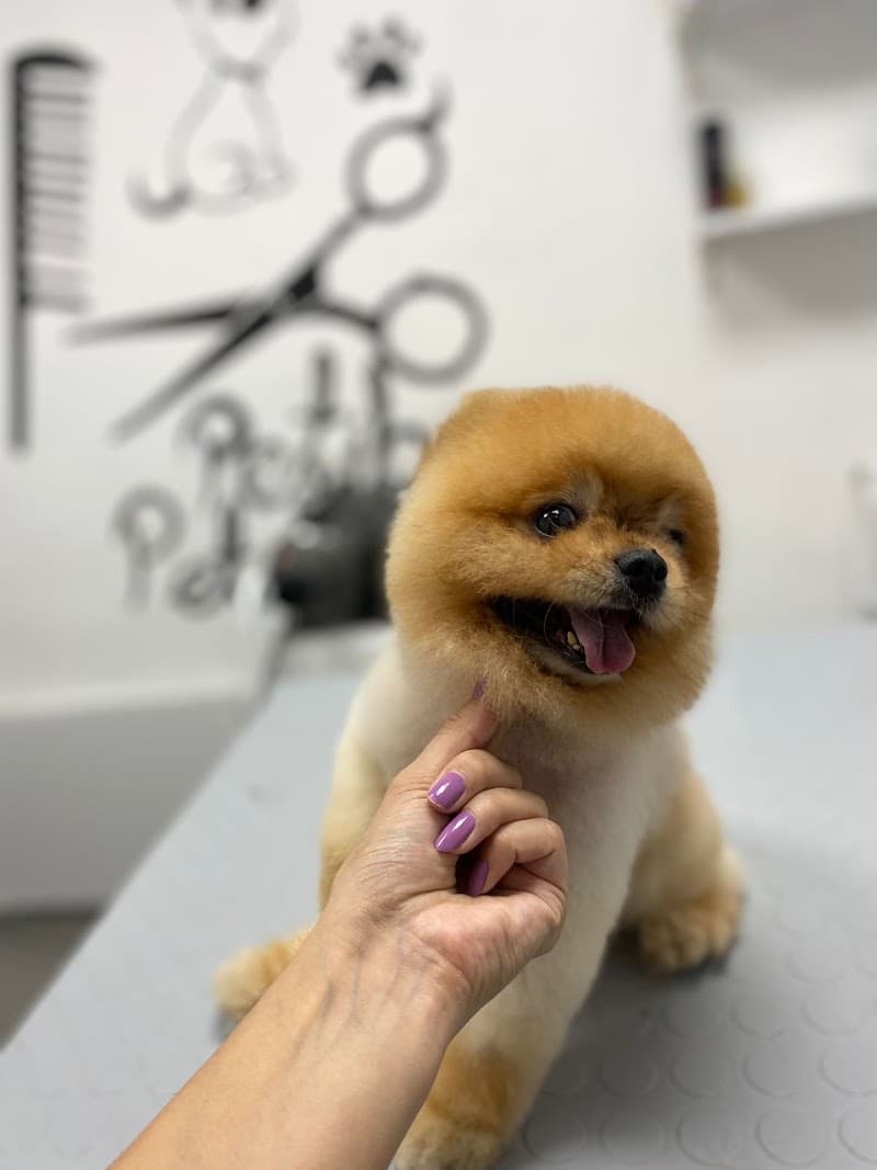 Pet Kuaför | Petibom Kedi Köpek Kuaförü — Ataşehir
