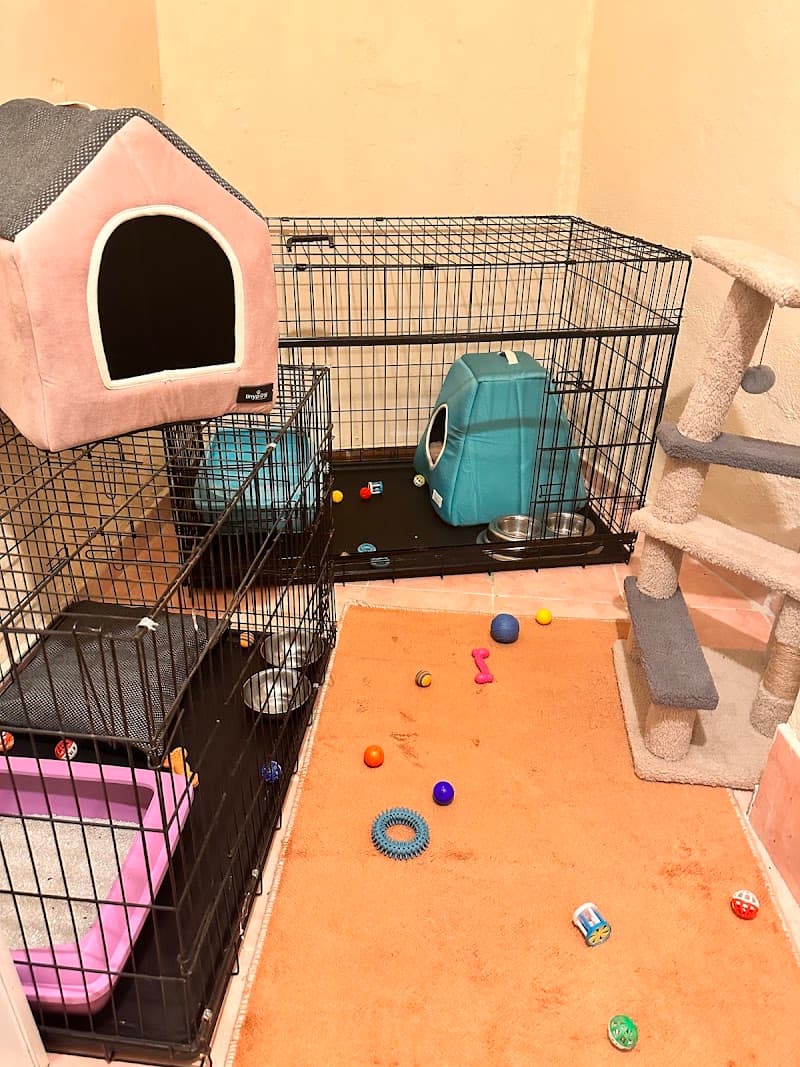 Pet's Pansiyon — Üsküdar