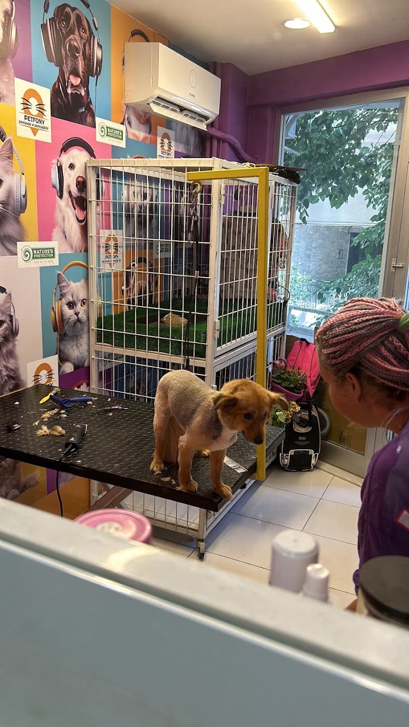 Petfony Petshop ve Pet Kuaför — Maltepe