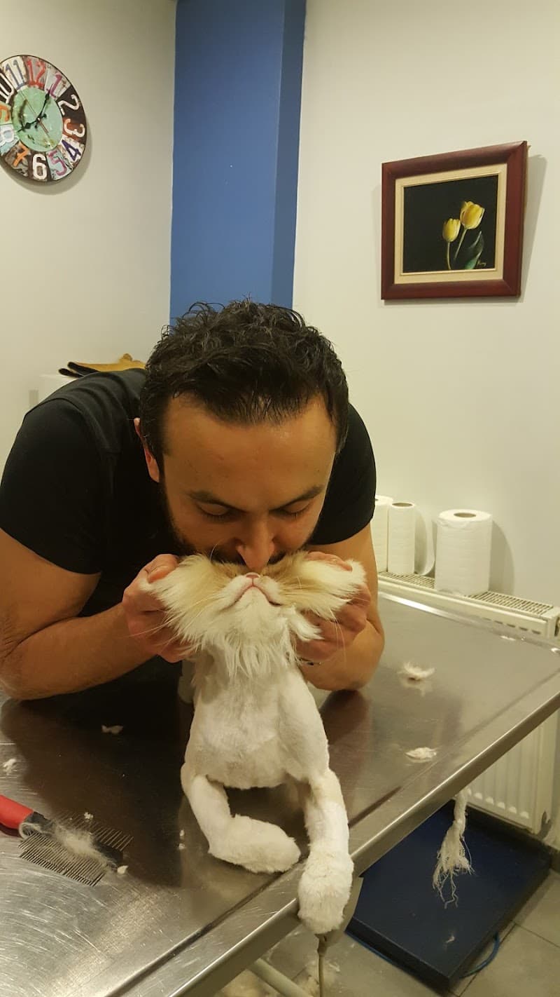 Petkuaför Mustafa Gün — Kadıköy