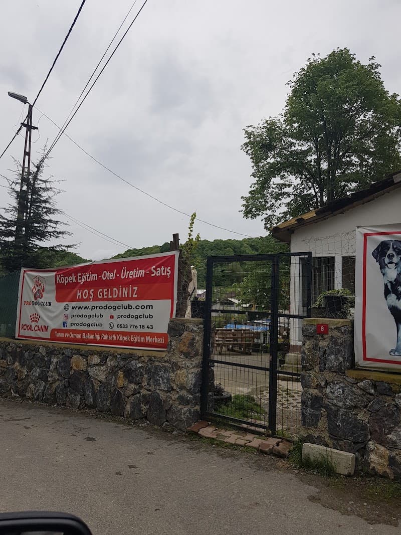 Pro Dog Club Köpek Eğitim Merkezi ve Köpek Oteli — Çekmeköy