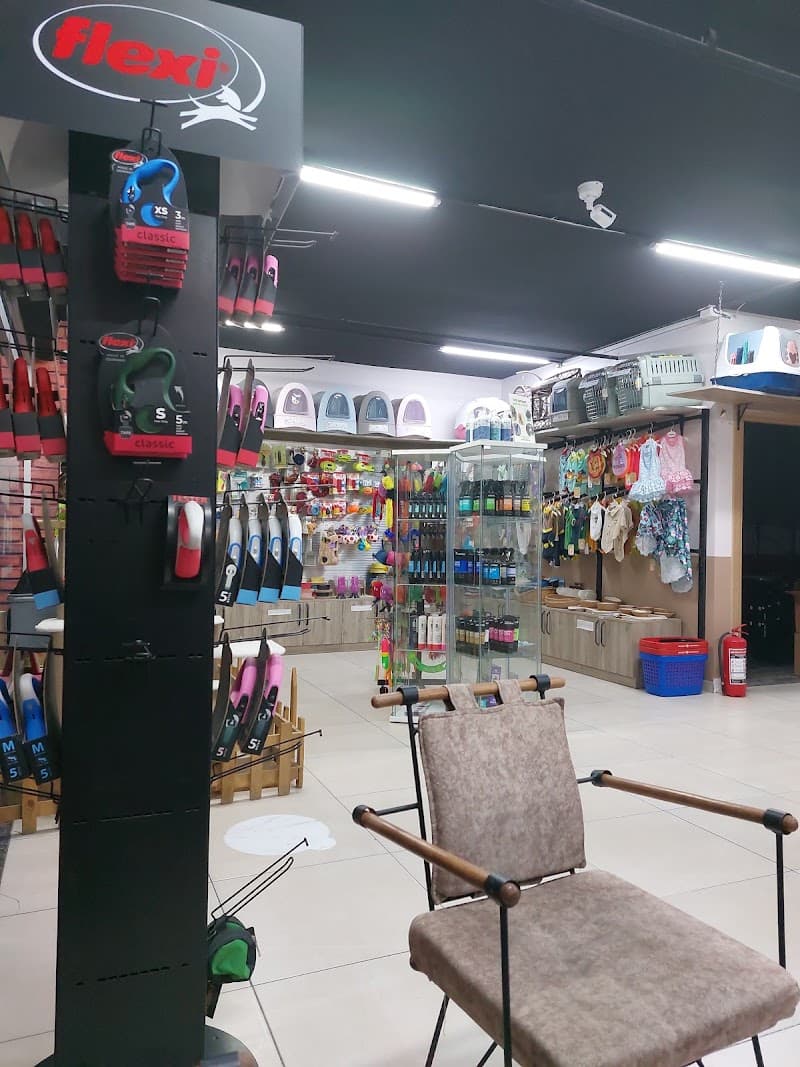 Pumpkin+Plus Petshop,Kuaför ve Konaklama Hizmetleri — Beylikdüzü