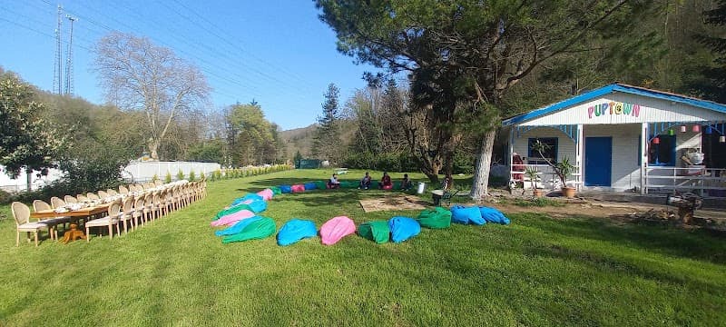 PupTown Köpek Eğitim Merkezi İstanbul — Beykoz