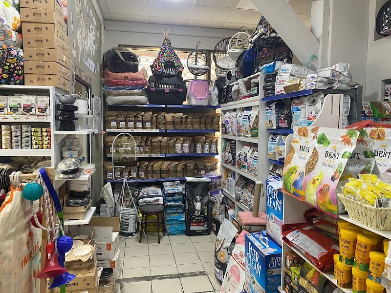 Raspada Pet kuaför Petshop — Gaziosmanpaşa