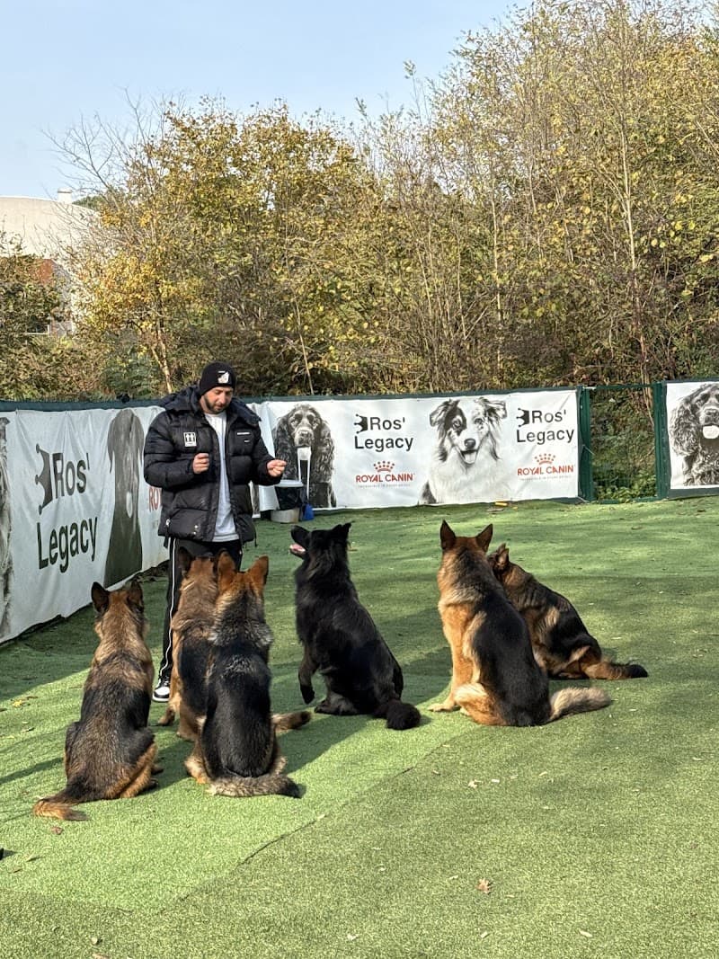 Ros'Legacy Köpek Eğitimi ve Oteli — Beykoz