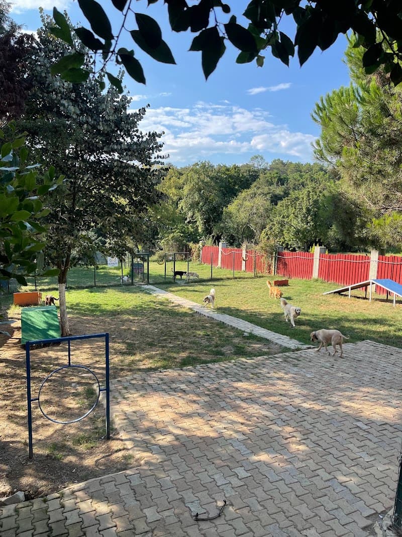 ROYALTY PET OTEL — Eyüpsultan