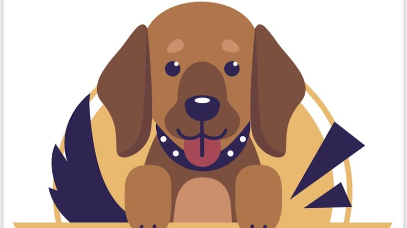 Şanslı Köpek Oteli — Tuzla