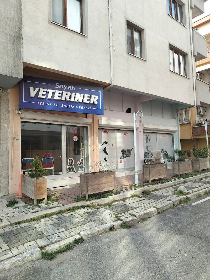Sevimli pet Kuaför — Kadıköy