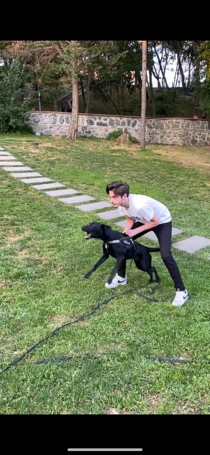Sit and Stay köpek eğitim — Çatalca