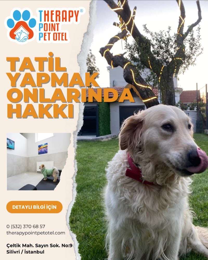 Therapy Point Pet Otel — Silivri