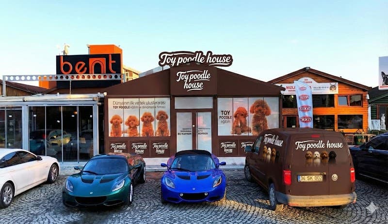 Toy Poodle House | Kore FCI Onaylı Yavru Çiftliği — Ataşehir