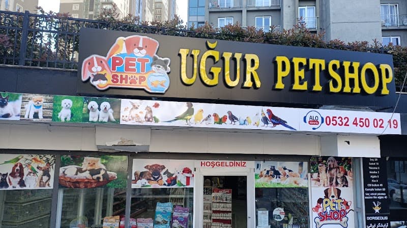 Uğur Petshop & Pet Kuaför - Esenyurt — Beylikdüzü