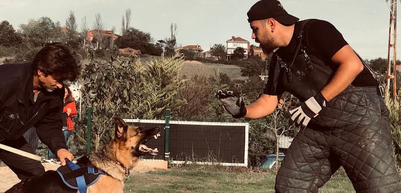 Umut Deniz Aşık Köpek Oteli ve Köpek Eğitim Merkezi — Beykoz