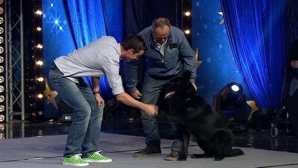 Vino Dog Academy ( Profesyonel Köpek Eğitim ve Danışmanlık ) — Beykoz