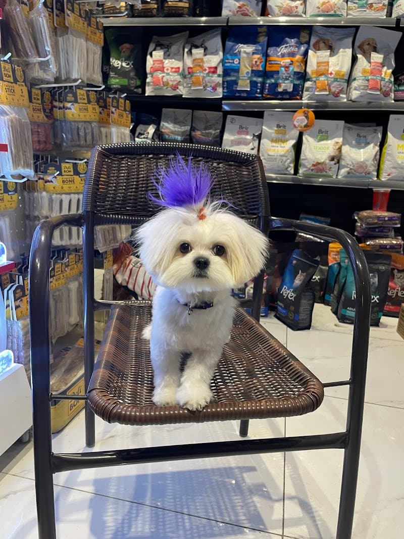 West Side Petshop & Pet Kuaför | Pet Hair Salon & Pet Aksesuar Mama — Esenyurt