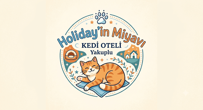 Yakuplu Kedi Oteli — Beylikdüzü