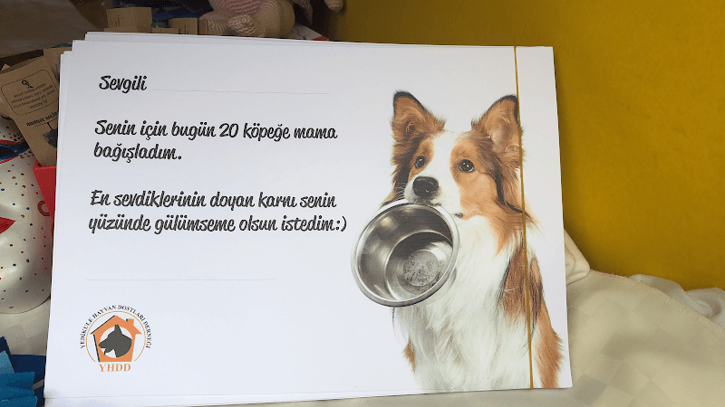 Yedikule Hayvan Barınağı ( Fatih Belediyesi sahipsiz sokak hayvanları bakım evi/tedavi merkezi — Zeytinburnu